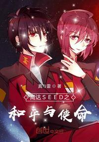 高达SEED之和平与使命